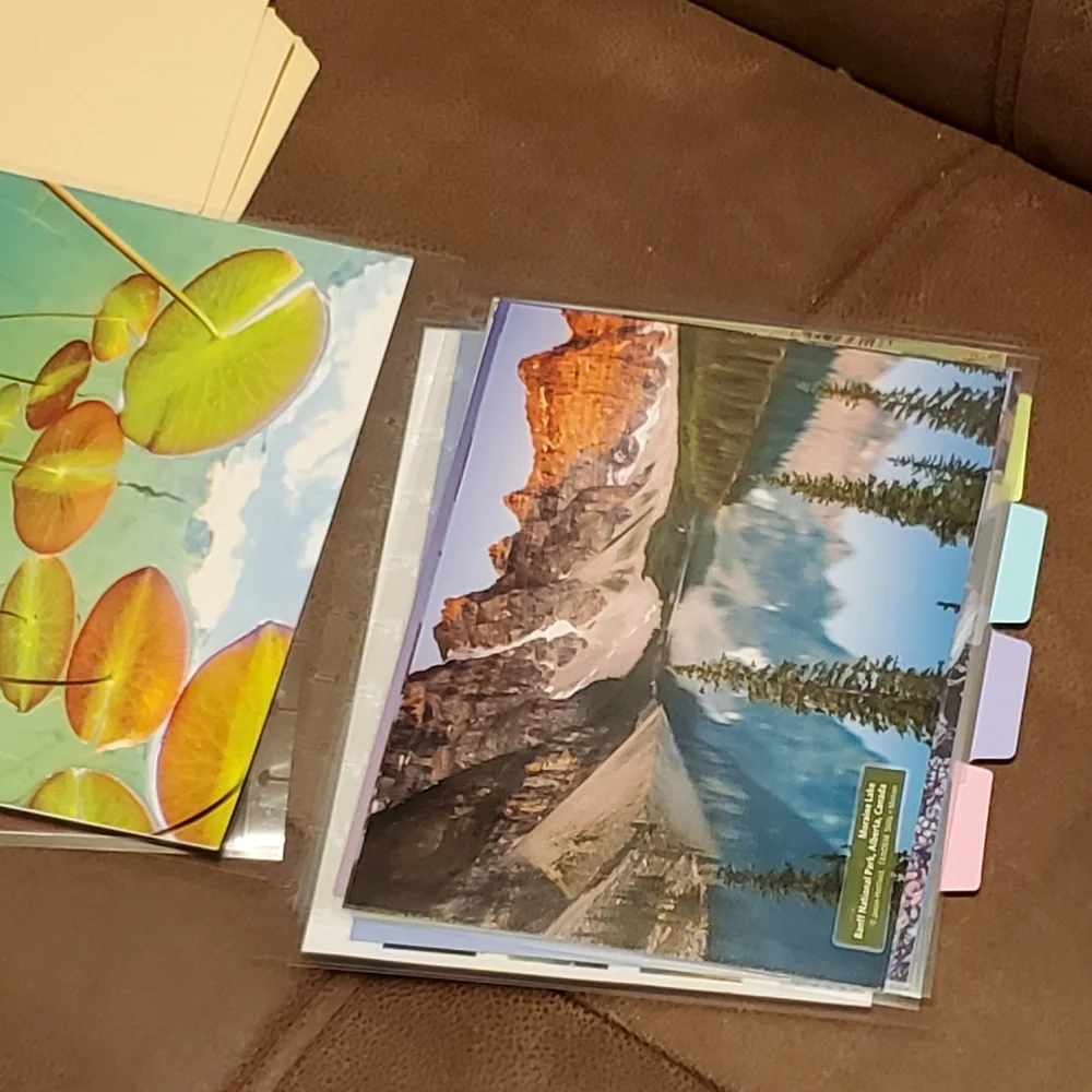 Homemade cover and 5 dashboards/dividers for a classic sized disc bound planner